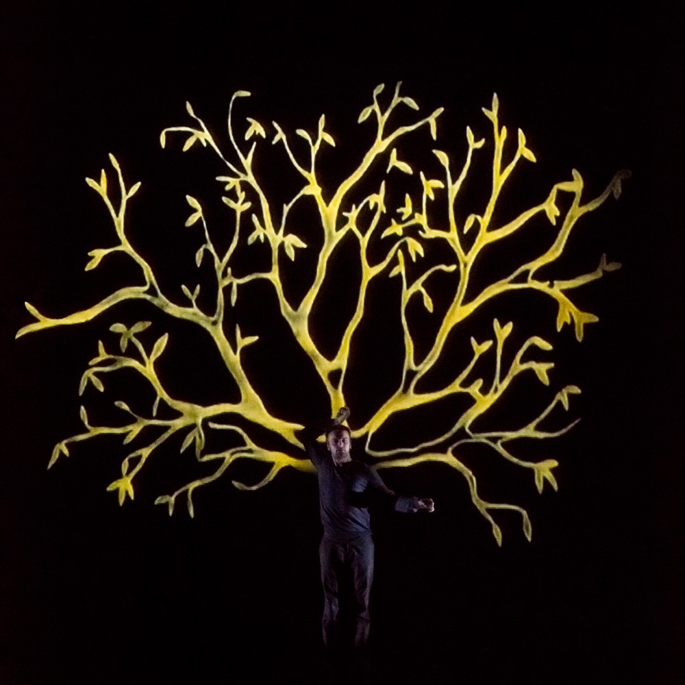 La foret ebouriffee - credit Estelle Brugerolles.jpg
