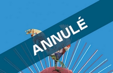 Compagnie La Volige - Mes ancêtres les Gaulois