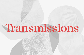 Visite commentée avec la commissaire d’exposition Julie Vanneste - TRANSMISSIONS